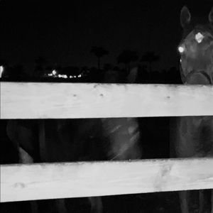 Meet your Posher, Carolina